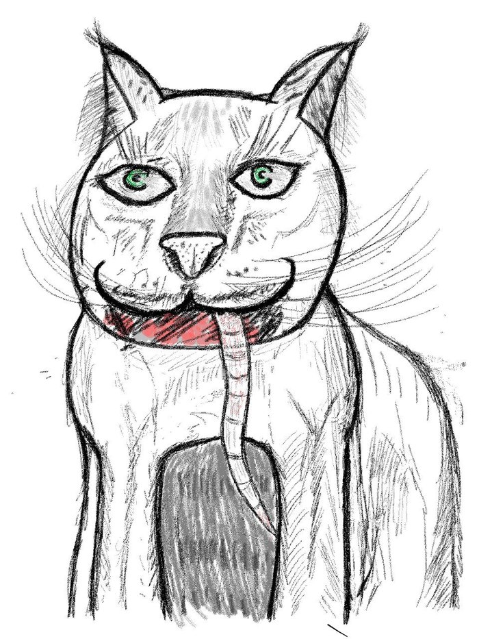 �������� ���