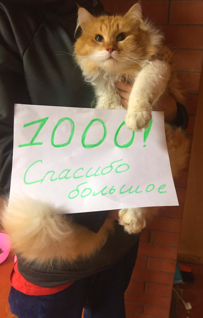 1000 ! ! , ,  , 