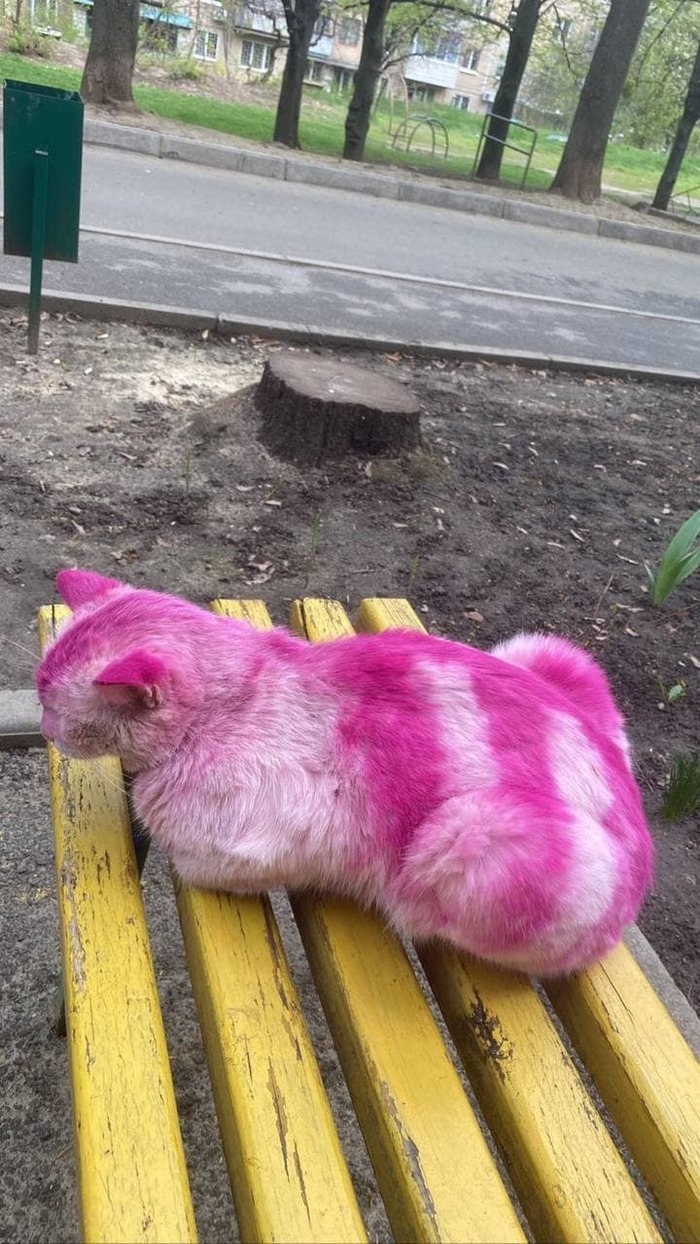 -    , , , 