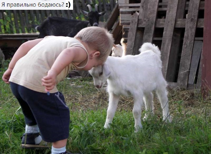 Правильно:)))))))))))))))