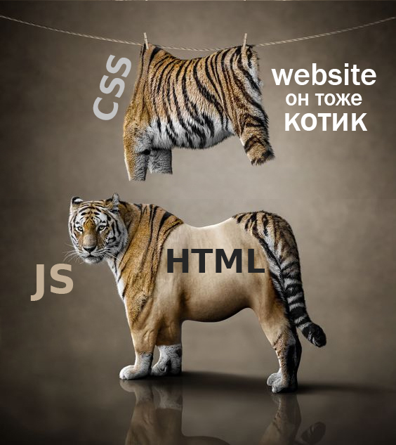 - -    , , , IT, IT , ,   , , Javascript, CSS, Web, -, , , HTML
