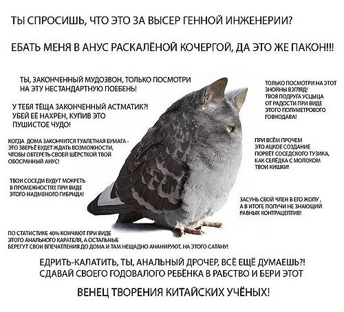 �� ������ ��� ����?