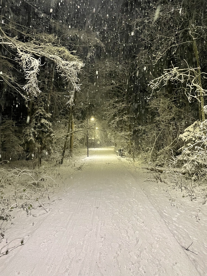 Вход в Нарнию