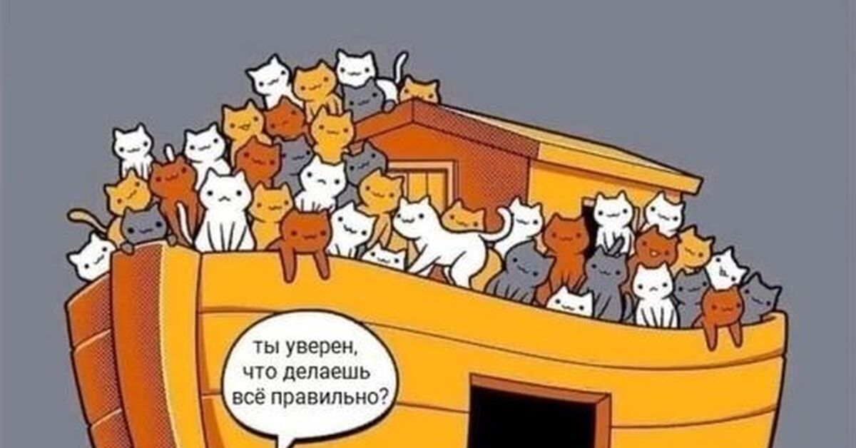 Джанго мем. Ты уверена что это песня. Ты уверен в этом. Ты уверена что это песня. Ты уверена что это песня.