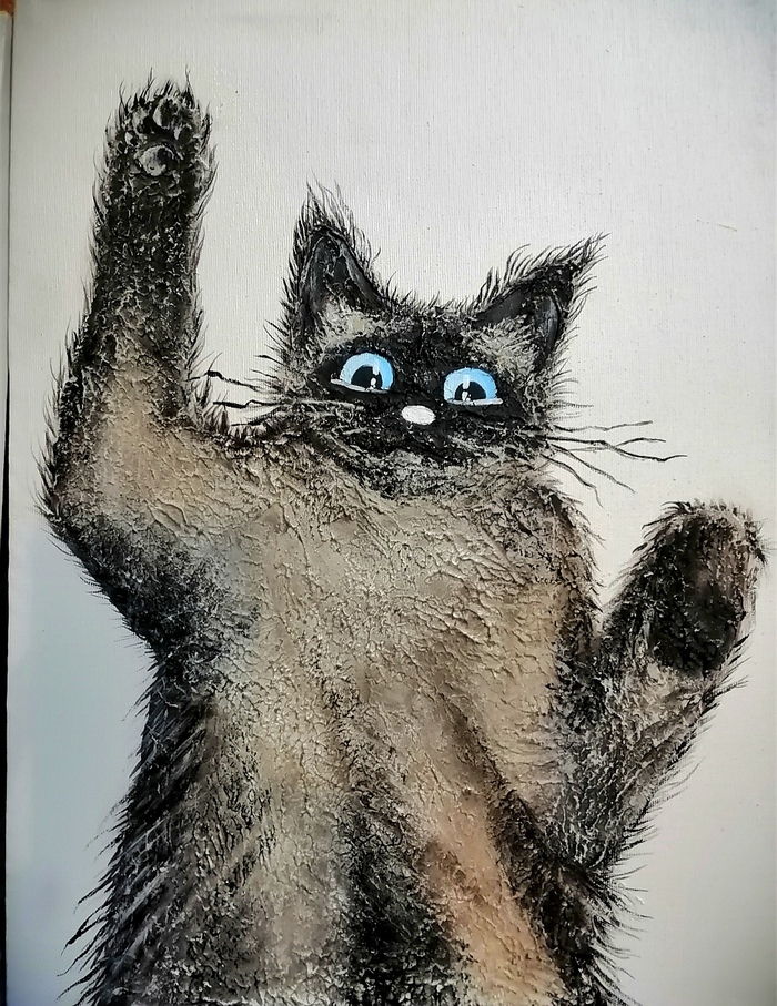 Котики. Удивление в глазах Кот, Котята, Рисунок, Картинки, Фотография, Смешные животные, Милота, Забавное, Сиамский кот, Искусство, Современное искусство, Декоративное искусство, Лапки, Длиннопост