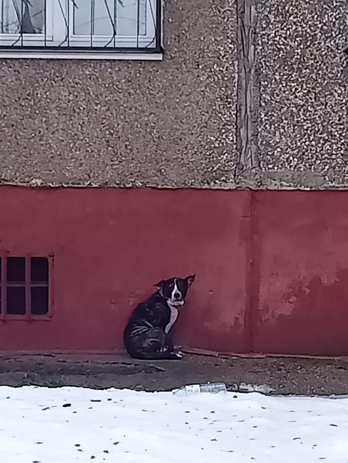 ������!!! ������ � ������ ����!!!