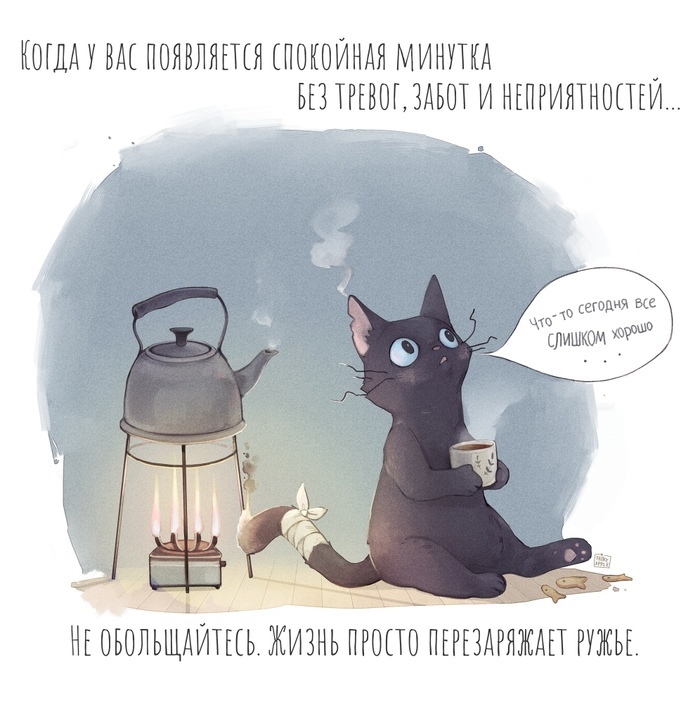 �������������