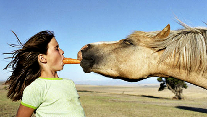 Интересный способ кормления