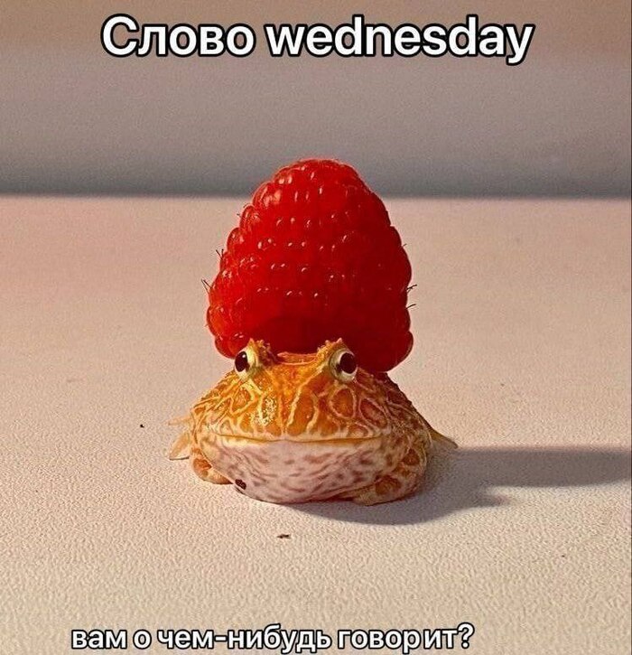 � ������������ �� ������