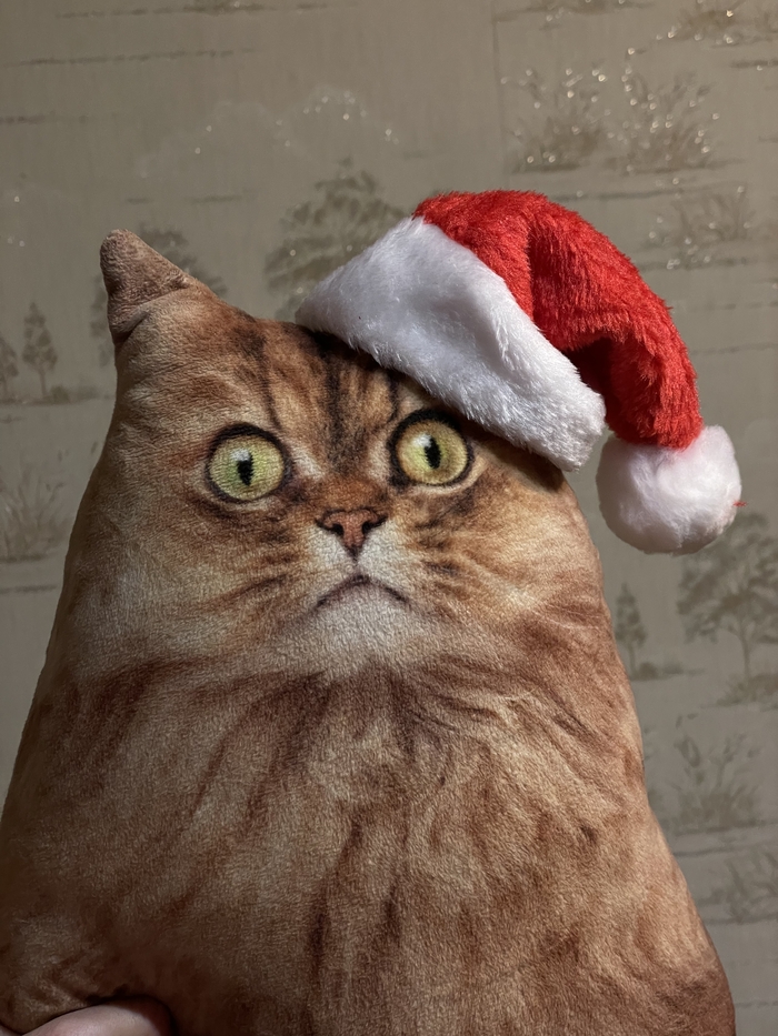 ���� ����� � ��