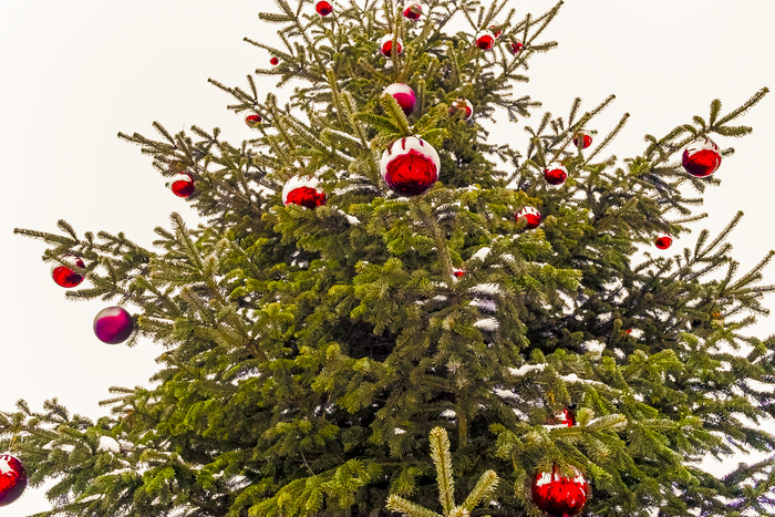 � ����������� ����� �����!