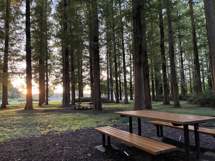 ���� � �����