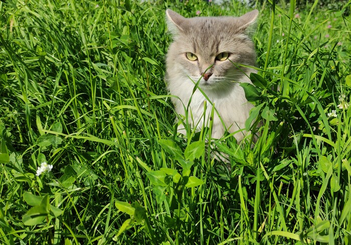 ���� �� ����