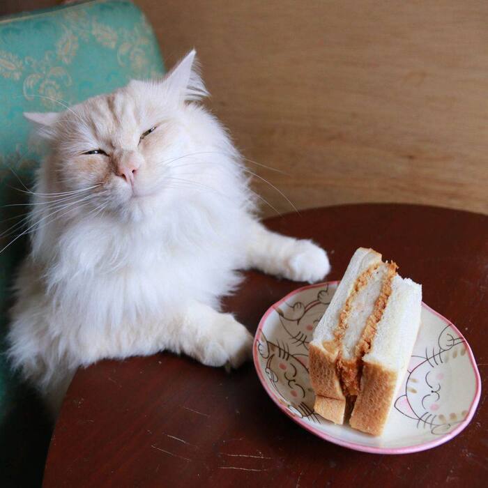 А ещё есть? | Пикабу