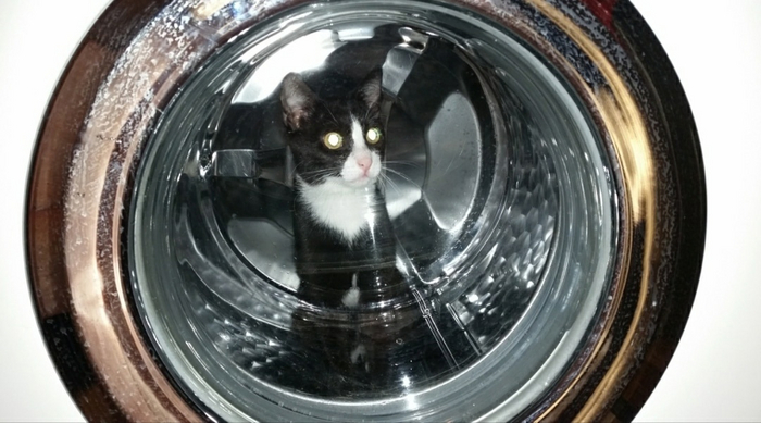 Земля в иллюминаторе видна