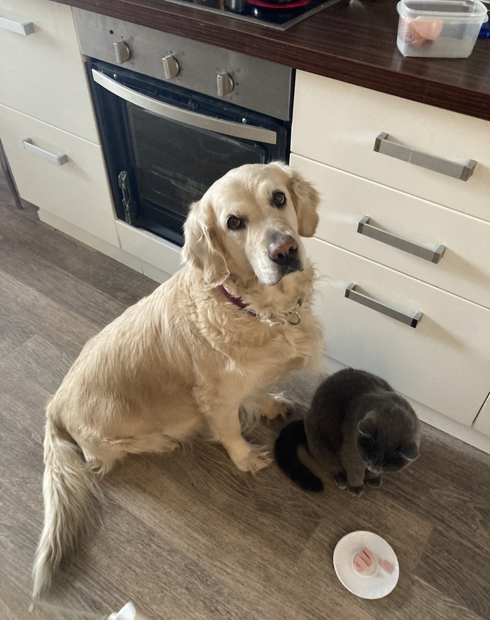 ������. � ��� ���� �������� ���������, ���� ����� �� ����