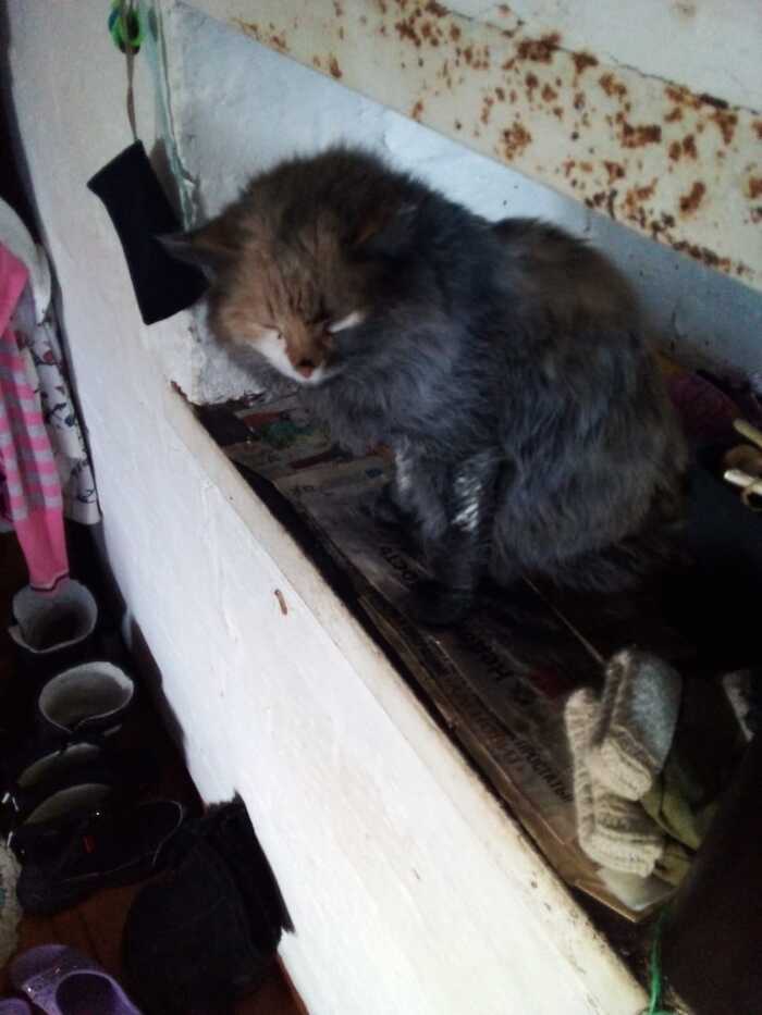    &quot;    &quot;, &quot; 10  , &quot;, &quot;  &quot;, &quot;    &quot;