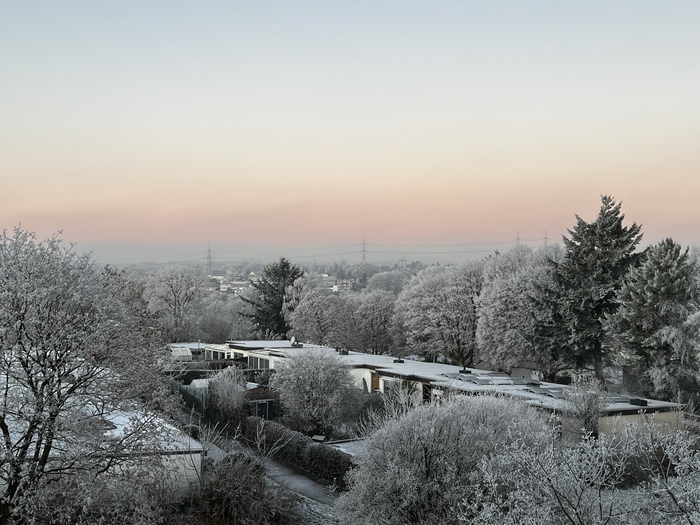 �������� ����