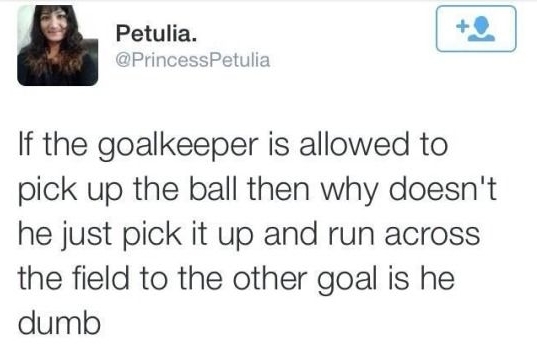 Если вратарю можно брать мяч в руки, то почему бы ему не взять его и не побежать к другим воротам и забить гол. Вот он тупица