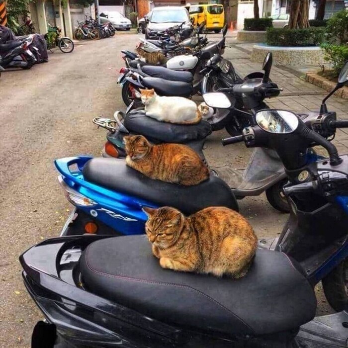 Еще байкеры