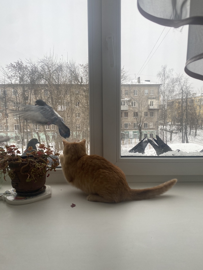 Охотник