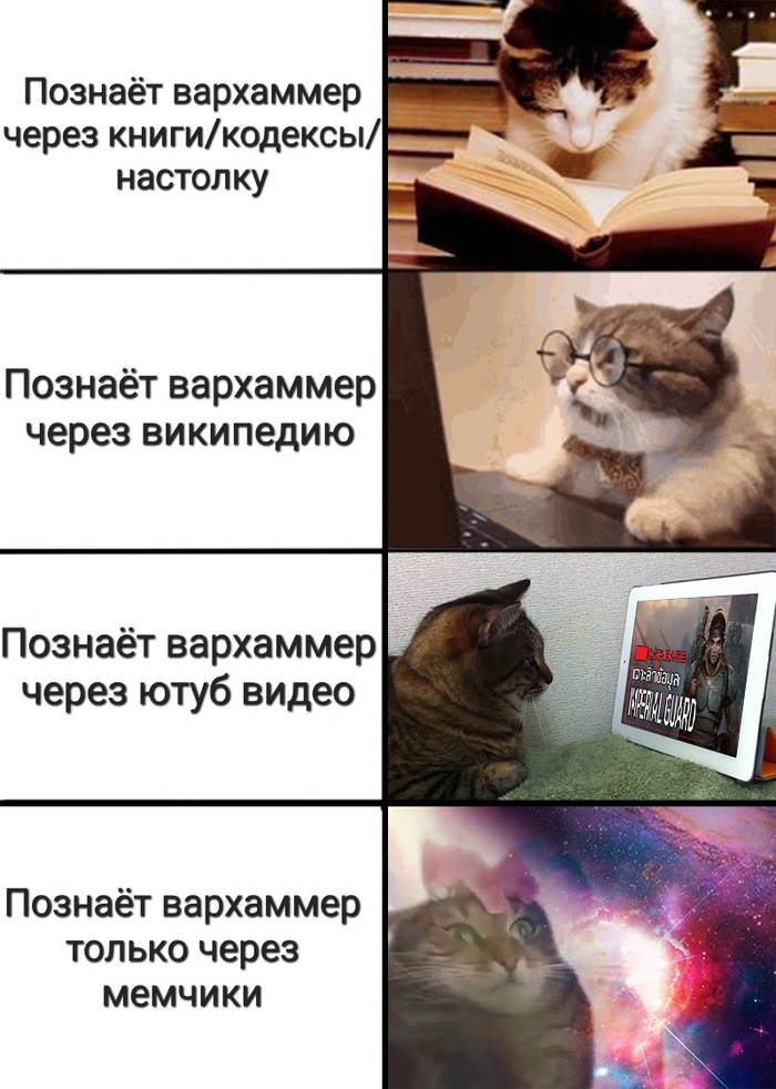 Какой котик ты?