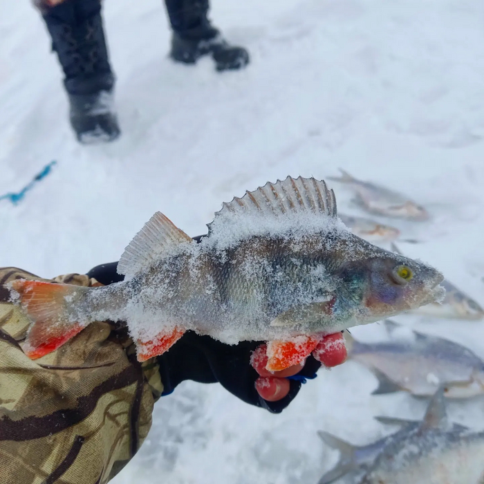 Зимняя рыбалка на Вилейском водохранилище в снежную бурю Зимняя рыбалка, Рыбалка, Донная ловля, Видео, YouTube, Длиннопост