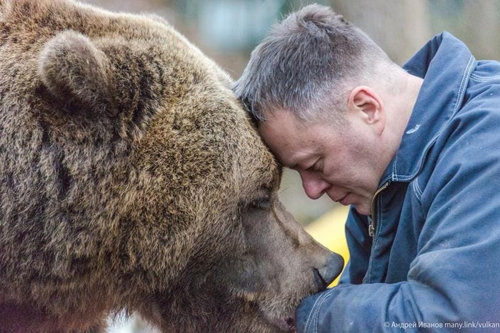 Вместо тысячи слов