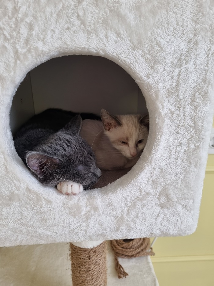 Прошу помощи