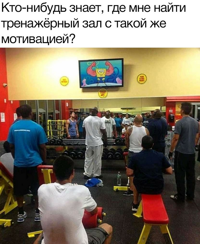  ,   ,  ,  