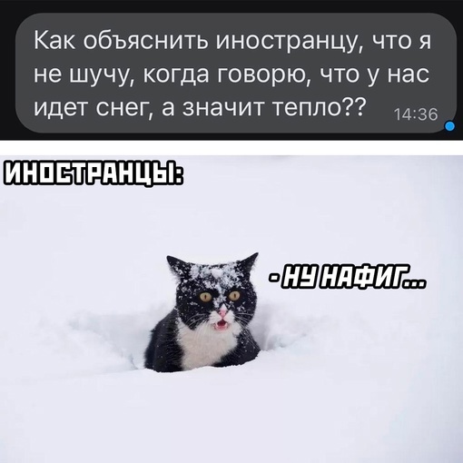 Действительно тепло
