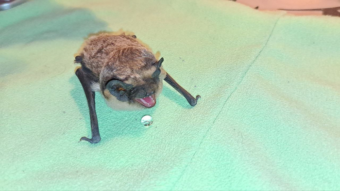 Продолжение поста «С прошедшим... »