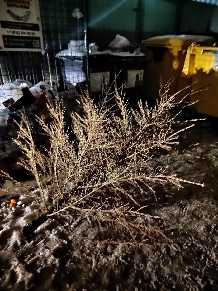 ������ �� ������