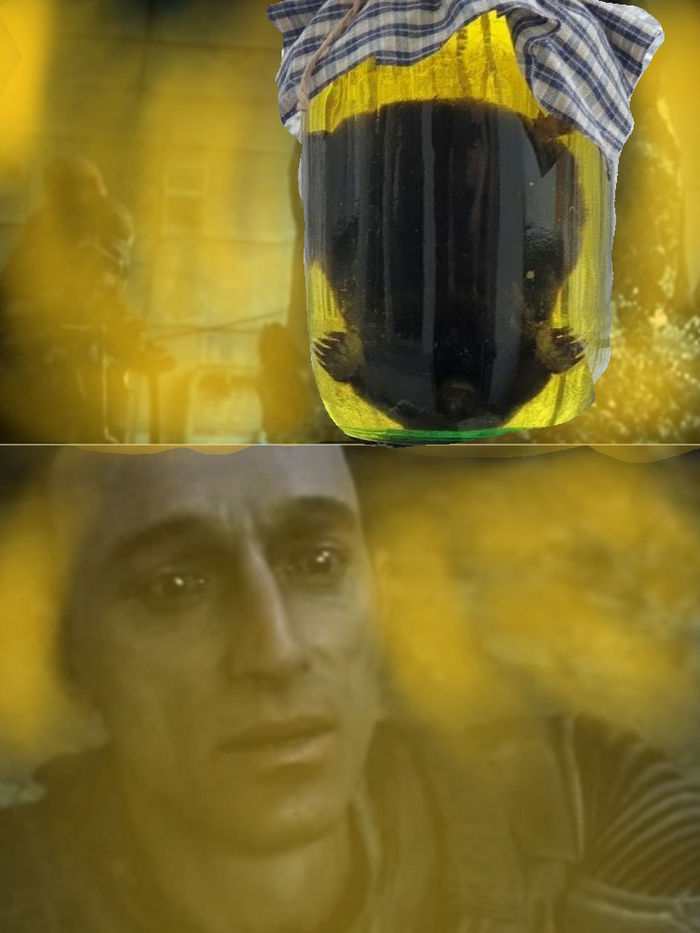 Кротовуха в сталкер пон?