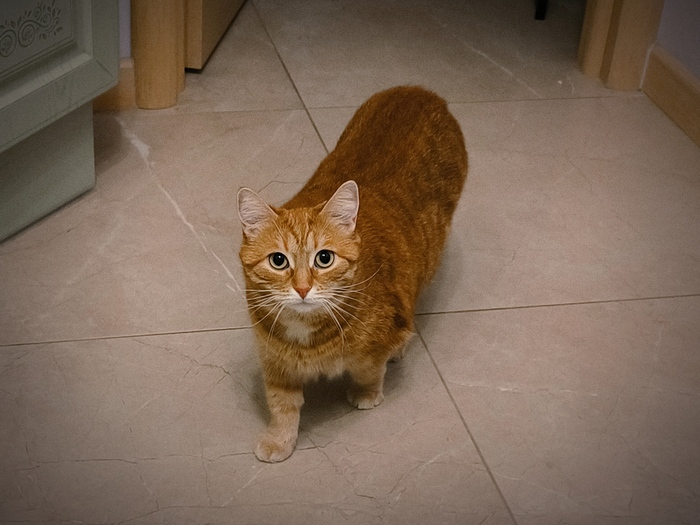 ����� �� ���� � ����� � ������� �����?