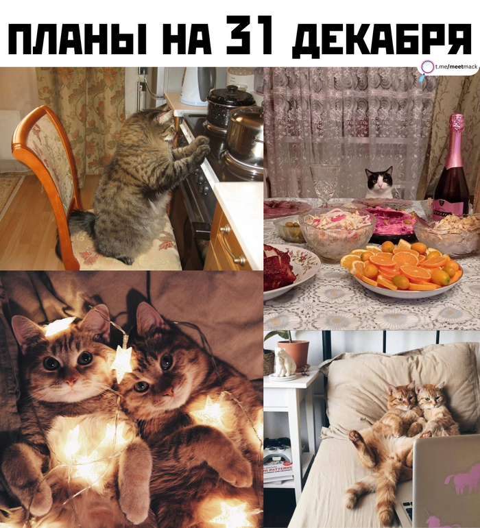 Приятные моменты | Пикабу