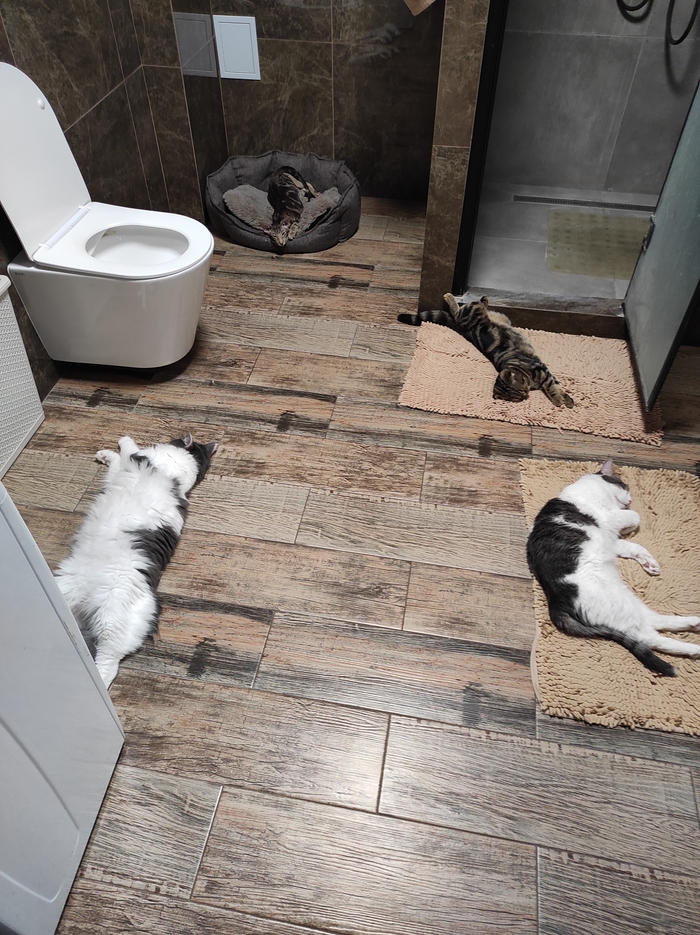 ��������� ��� �����