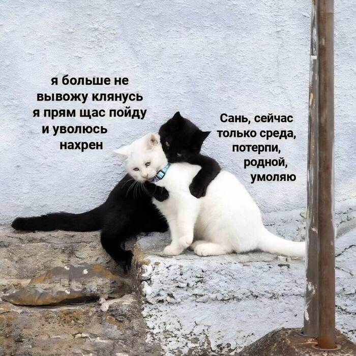 Конец года