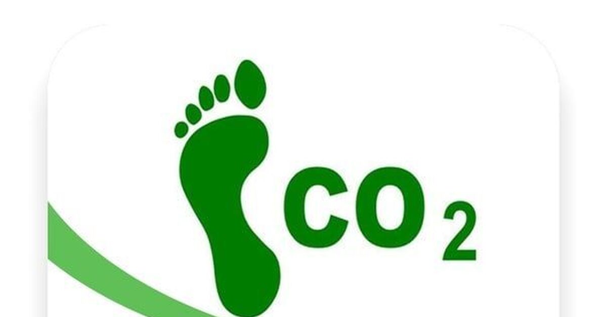След год 2021. Углеродный след. Снижение углеродного следа. Сократить углеродный след. Экологичность углеродный след.