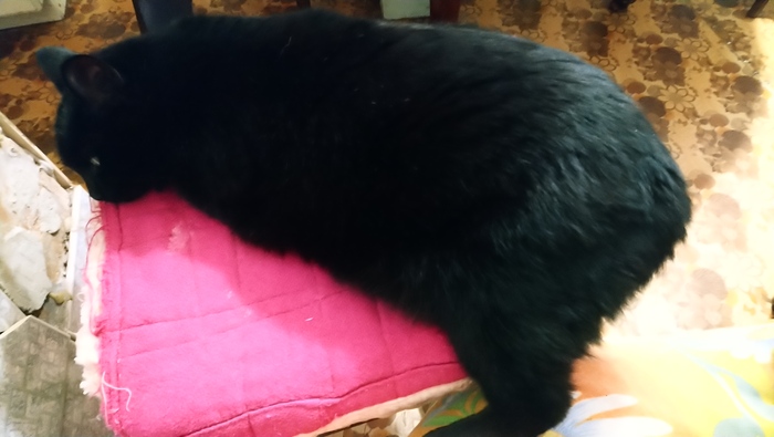 Спасити памагити!!!