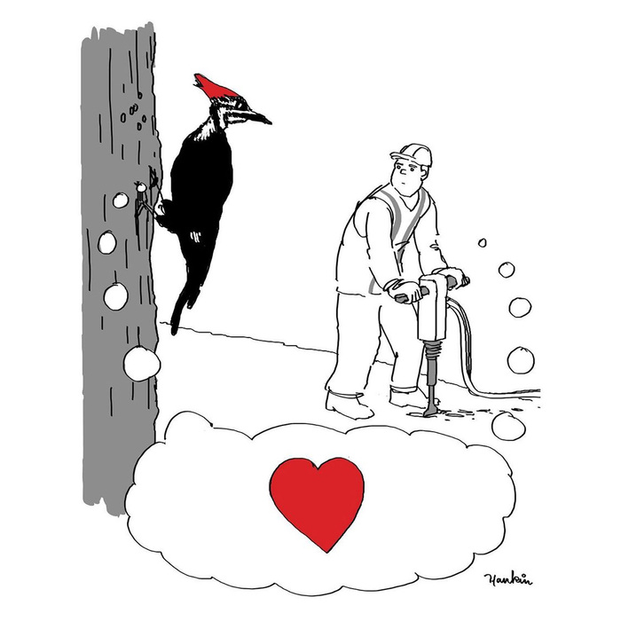    , The New Yorker, 