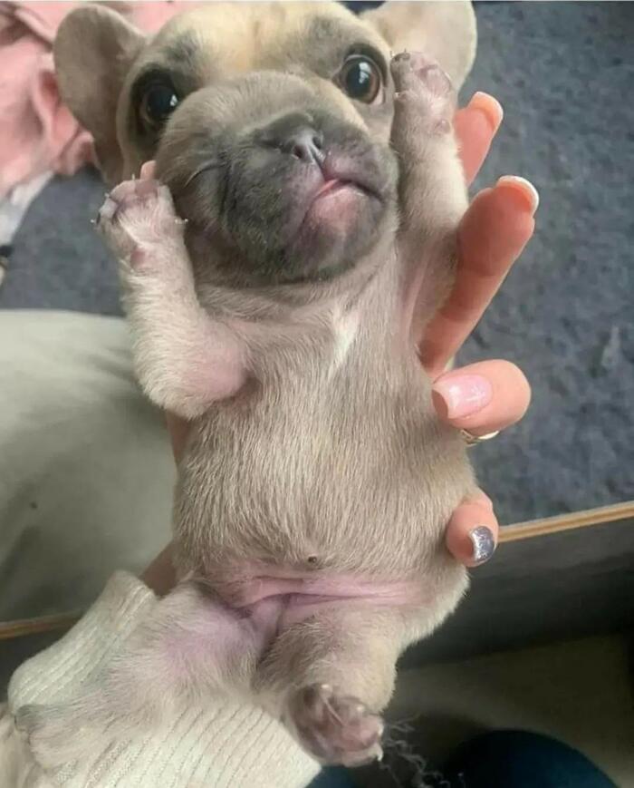 ����� � ���� ������� �����