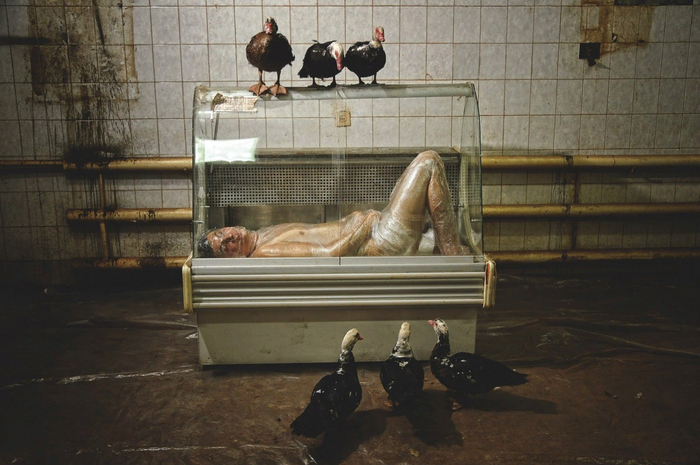 �������� ��� �������