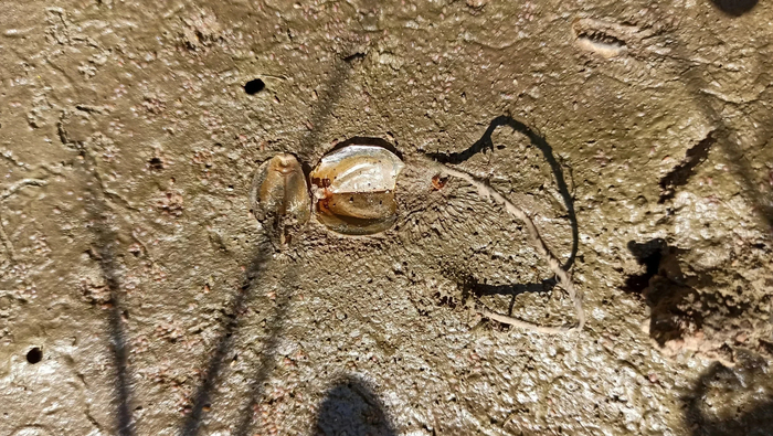     , , , , , , 