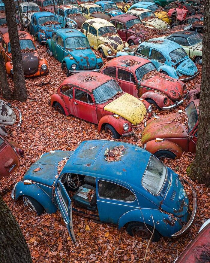 Жуки Volkswagen, Авто, Volkswagen Beetle, Заброшенное, Заброшенные авто