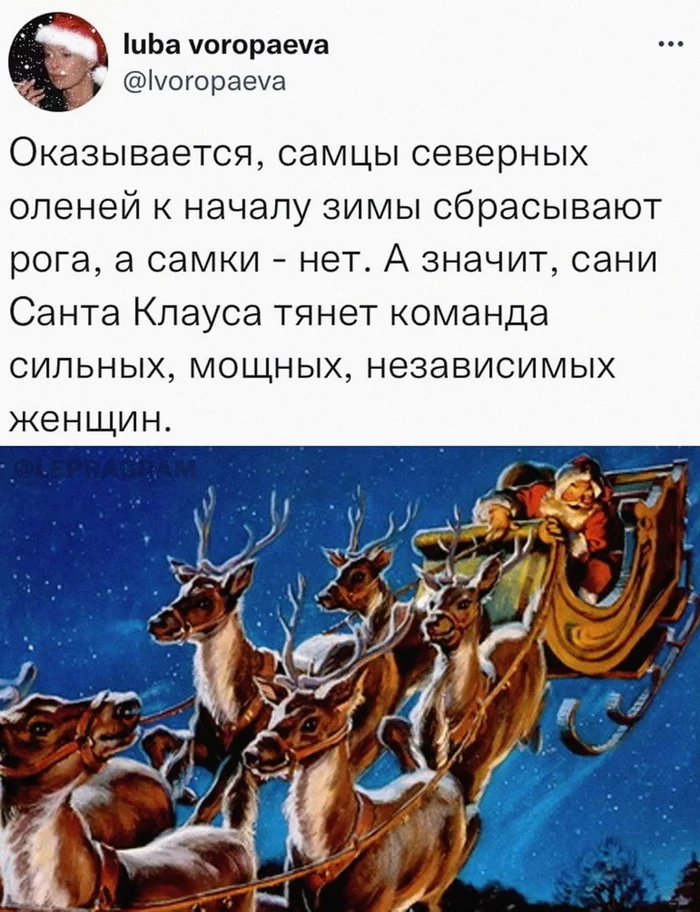 1671790208137910599.webp