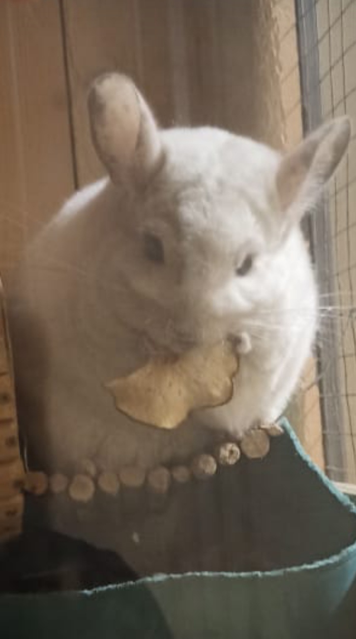 ,    -     ... , , ,    