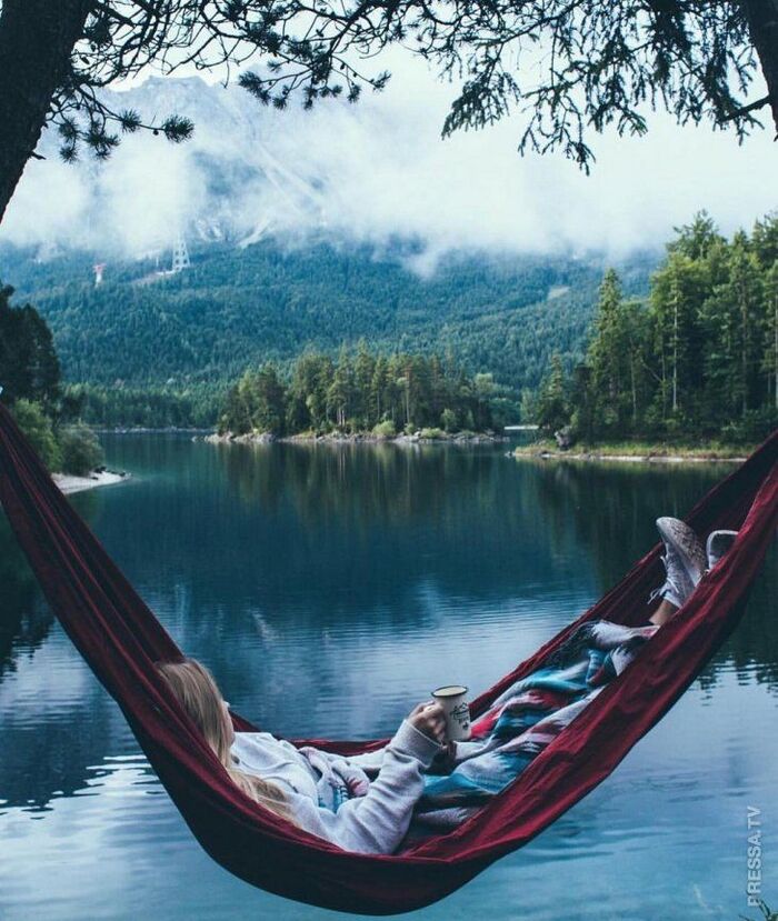 ������ ���))