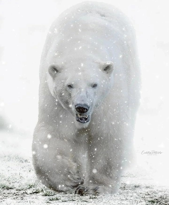 Ну здравствуй