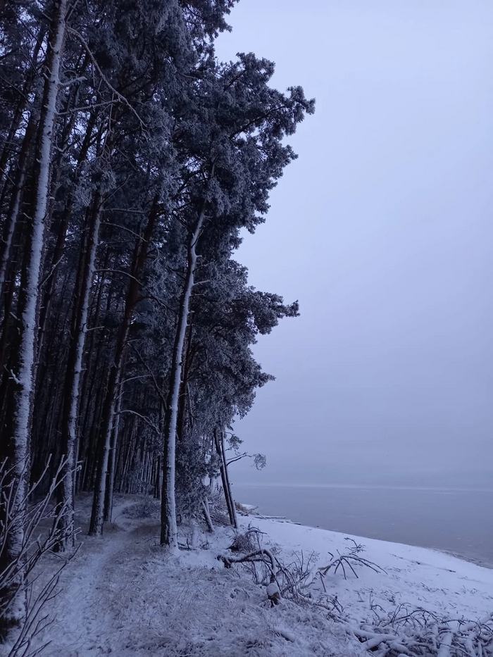 Куршская коса, Калининград